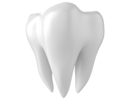 3d dentale denti isolato su trasparente sfondo png