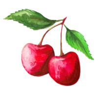 cherry watercolor illustration png