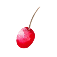 ilustración acuarela cereza png