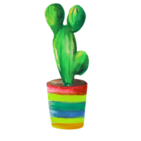 cactus in a pot watercolor illustration png