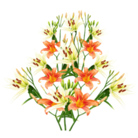 bouquet of white and orange lily flowers, daylily illustration png