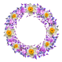 frame of crocus flowers, daffodils, saffron, chicory png