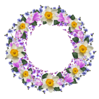 decorative frame of spring flowers narcissus and crocus png