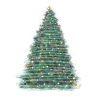 green christmas tree illustration png