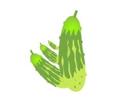 cucumber Pro vector