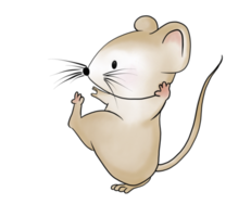 Cute, little, fat brown doodle cartoon mouse character act if exercises and dances. Isolate watercolor image.