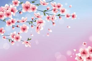 Realistic Peach Blossom Background vector