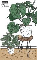 house plants sketch vector illustration