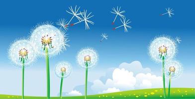 Meadow with dandelions vector