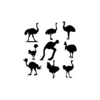 collection set bird ostrich design vector