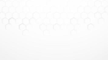 Abstract modern hexagon background, White and grey geometric texture vector