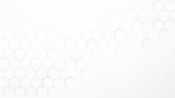 Abstract modern hexagon background, White and grey geometric texture vector