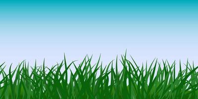 Green wild grass field against clear blue sky. Front view. Rural nature, pasture grassland in spring or summer. Seamless stripe, horizontal border, background for designs vector