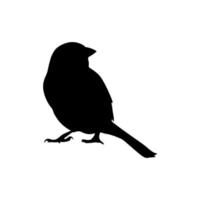 Bird silhouette vector design