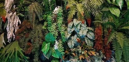 helecho, vid, liana, flor roja y fondo de hojas verdes. crecimiento de plantas o papel tapiz de la naturaleza. árbol ornamental para decoración de pared. hermoso concepto natural y fresco foto
