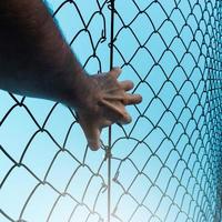 man hand grabbing metallic fence, feeling free photo