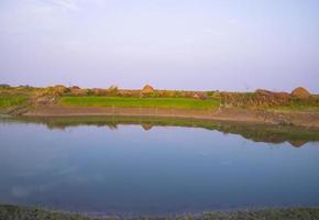 Canal with green grass and vegetation reflected in the water nearby Padma river in Bangladesh photo