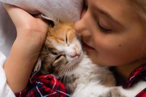 una linda niña duerme dulcemente en casa en un conejo con un gatito. ropa de cama de algodón blanco. vacaciones navideñas. niños y mascotas en casa foto