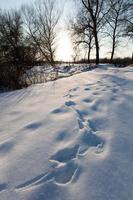 footprints in the snow from human shoes in a snowy winter. photo