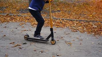 enfant d'âge préscolaire monte sur un scooter au parc d'automne video