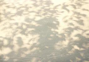 wall plastered with white putty on which there is shadow from  trees. bush shadow on textured wall photo