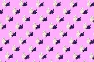 Pattern composition of Easter bunnies on pastel red background. Minimalist isometric concept. 3D rendering illustration. photo