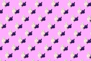 Pattern composition of Easter bunnies on pastel red background. Minimalist isometric concept. 3D rendering illustration. photo