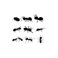 ilustración de diseño de conjunto de animales de hormiga vector