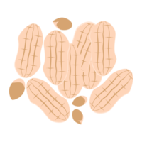 conjunto de coleta de lanches de comida saudável de amendoim png
