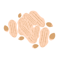 nuts peanut healthy food snacks collection set png