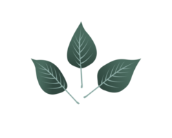 Green Leaves Simple Minimalism Drawing png