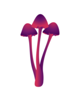 illustration png de grappe de champignons violets