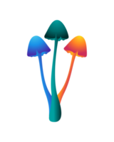 illustration png de champignons néon triple couleur