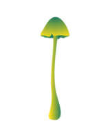 champignon vert et jaune png