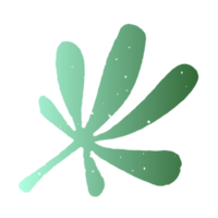 transparent flat leaf shape element. PNG transparent pro