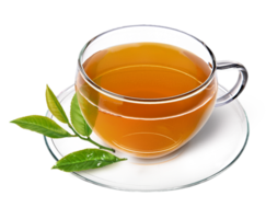 Cup of tea with fresh tea leaves on saucer transparant background PNG