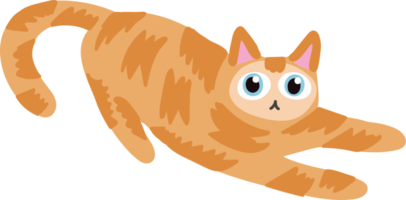 orange hair cat handraw cute cat laying on the floor png