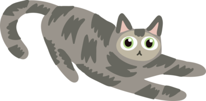 gato de pelo gris dibujado a mano lindo gato tirado en el suelo png