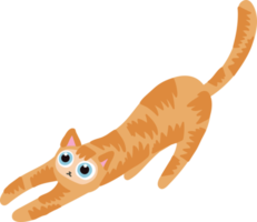 gato de cabelo laranja desenhado à mão gato bonito png