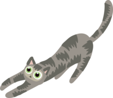 gray hair cat laying on the floor handraw cute cat png