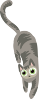 graue haarkatze, die auf dem boden liegt handdraw süße katze png