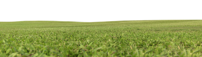 Green meadow field panorama transparent png