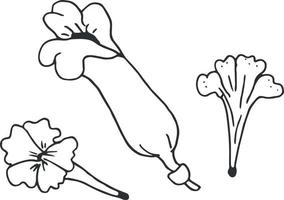 capullos de flores simples dibujados a mano aislados sobre fondo blanco. arte vectorial vector
