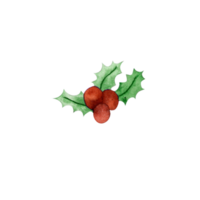 Watercolor red winter berry. Christmas holly branches decor png