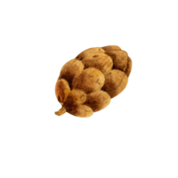 pomme de pin aquarelle png