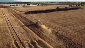 Combine harvester reaping wheat grain in cereal agriculture field farming. Farmer with tractor machinery threshing wheat, harvesting grain field aerial view. Organic farm, harvest, cultivation. video