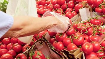 recogiendo tomates en la tienda de comestibles. verduras de alimentos saludables en el supermercado. mano eligiendo tomate en el mercado a cámara lenta. video