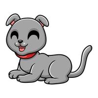 Cute scottish fold cat cartoon vector