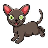 Cute korat cat cartoon walking vector