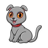 Cute scottish fold cat cartoon vector